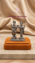 Lakshmi Narayan: The Eternal Sustainer
